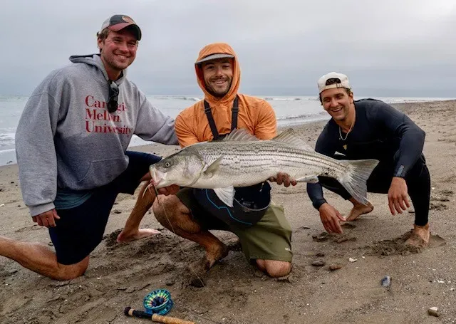 Shore Fishing in San Francisco: Best Beaches, Conditions, and What to Expect